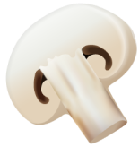 Shape Image One